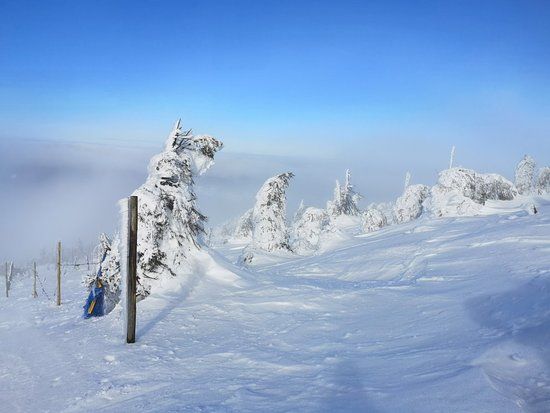 SkiArena Szrenica